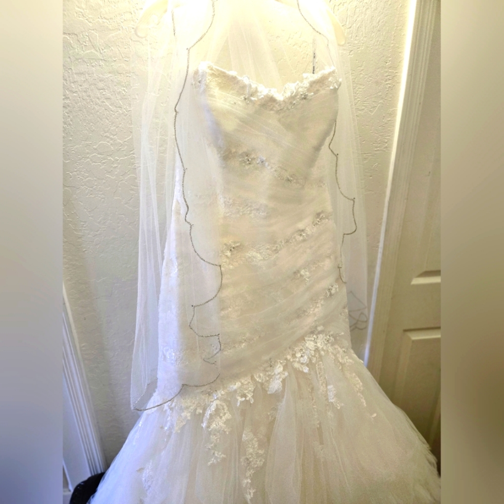 Strapless Lace Enzoani Wedding Gown with Veil